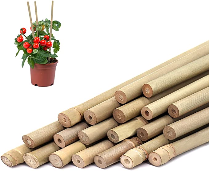 Shop Bamboo Stick For Bouquet online