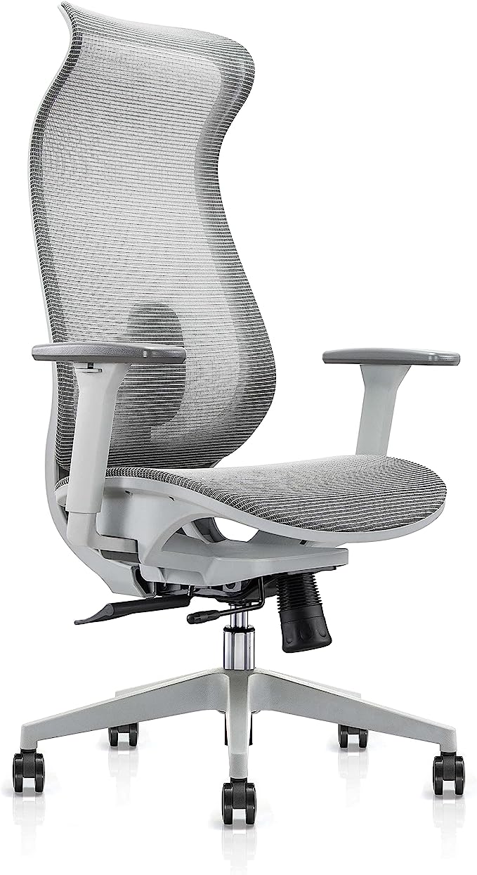 ALFA FURNISHING Ergonomic Home Office Chair, Rolling Desk Chair