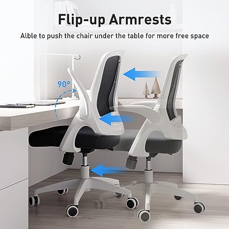HOLLUDLE Ergonomic Office Chair with Foldable Backrest